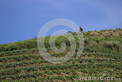 Natural landscape with a minimalist concept Editorial Stock Photo