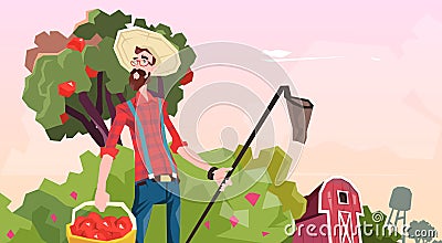 Farmer Gather Apples In Garden Fruit Harvest Vector Illustration