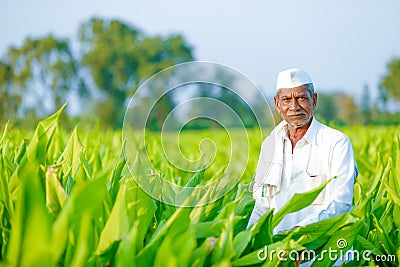 Farmer At His Field In Crops Looking At Camera Shot At Mumbai Editorial Stock Photo