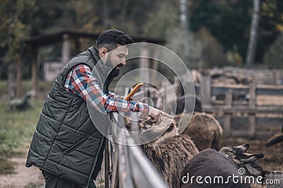 Farmer and his flock on a cattle-farm Stock Photo