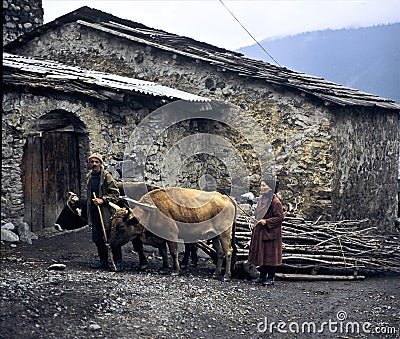 farmer with his wife and their cattle in Svaneti - Still today are sledges used for transportatins Editorial Stock Photo