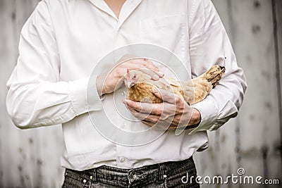 Farmer Holding a Beige Chicken Stock Photo