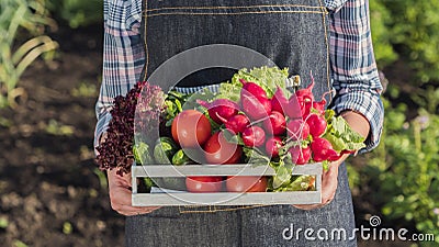 The farmer holds a box of vegetables, stands in his garden Stock Photo
