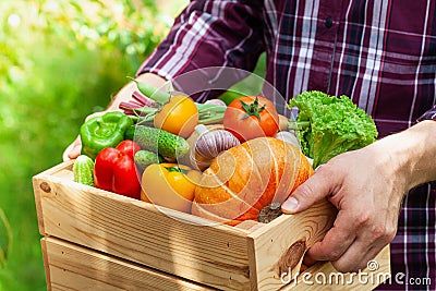 Farmer holds in hands wooden box with autumn crop of organic vegetables and roots against backyard background Stock Photo