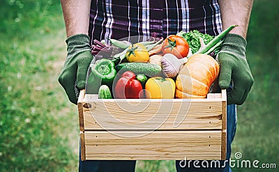 Farmer holds in his hands a wooden box with a vegetables produce on the green background. Fresh and organic food Stock Photo