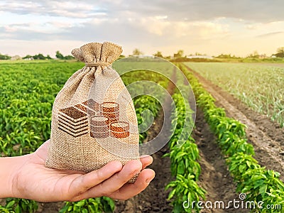 The farmer holds a money bag on the background of plantations. Lending and subsidizing farmers. Grants and support. Profit from Stock Photo