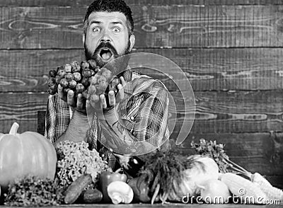 Farmer with homegrown harvest on table. Farmer proud of harvest vegetables and grapes. Man bearded holds grapes wooden Stock Photo