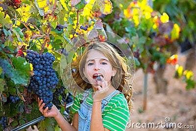 Farmer kid girl in vineyard eating grape in mediterranean autumn Stock Photo