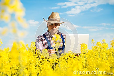 Farmer with laptop in the blooming rapeseed field Stock Photo