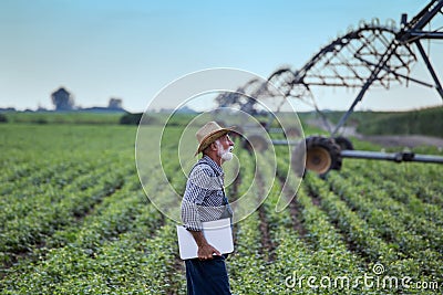 Farmer with laptop in soybean field Stock Photo