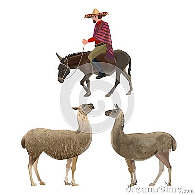 Farmer with llamas Vector Illustration
