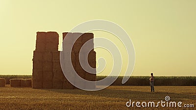Farmer looking haystack field at golden sunset. Modern agribusiness industry Stock Photo