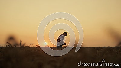 Farmer man silhouette examining wheat grain at sunset farmland rural background. Stock Photo