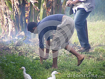 Farmer man in traditional wear harvest seeds, country life Editorial Stock Photo