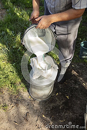 Farmer passes the milk through the strainer, the old way of cleaning milk from dirt Stock Photo