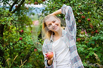 Farmer picking ripe fruit from tree. Harvesting season concept. Woman hold apple garden background. Farm produce organic Stock Photo