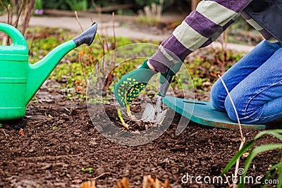 Farmer planted green shoots Stock Photo