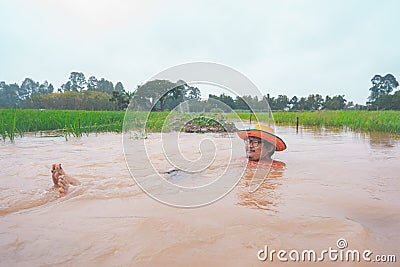 Farmer playing and joyful in heavy flood in rice field Stock Photo