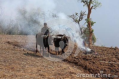 A farmer ploughs his barren field with pile of buring straws on side. Editorial Stock Photo