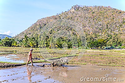 Farmer plowing. Editorial Stock Photo