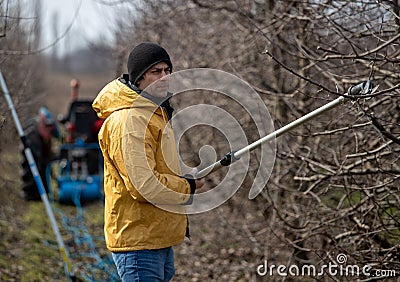 Farmer pruning fruit tree Stock Photo