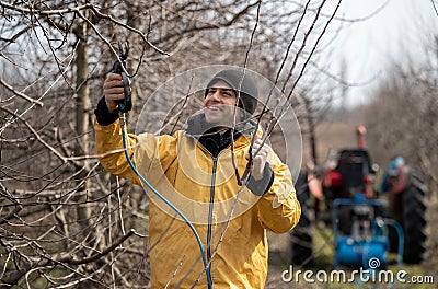 Farmer pruning fruit tree Stock Photo