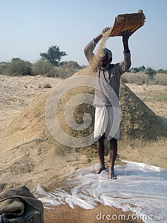 Farmer of Rajasthan doing various agricultural work in his field Editorial Stock Photo