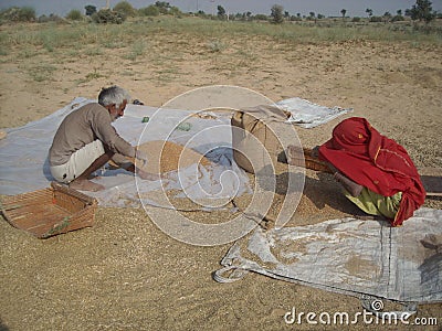 Farmer of Rajasthan doing various agricultural work in his field Editorial Stock Photo