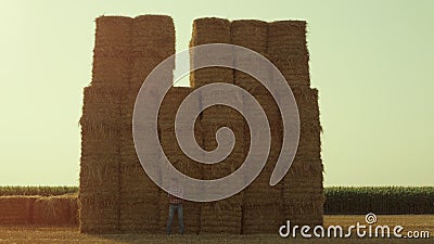 Farmer resting hay bales on sunny day. Field worker observing stubble harvested Stock Photo