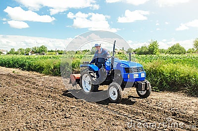 A farmer rides across the field on a tractor with a milling machine. Ground preparation for crop planting. Loosening surface, Stock Photo