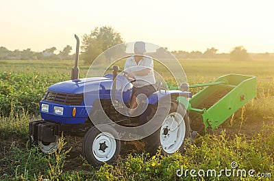 The farmer rides a tractor. Farming and farmland. Campaign harvesting potatoes in autumn. Countryside. Food production. Stock Photo