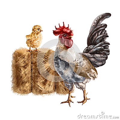 Farmer's composition of yellow chicken gray rooster and golden haystack Stock Photo