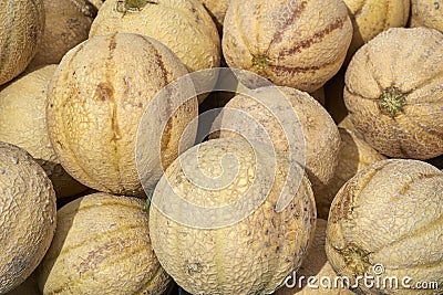 Farmer's Market Stock Photo