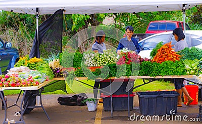 Farmer`s Market in Hawaii Editorial Stock Photo