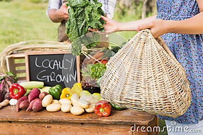 Farmer selling his organic produce Stock Photo