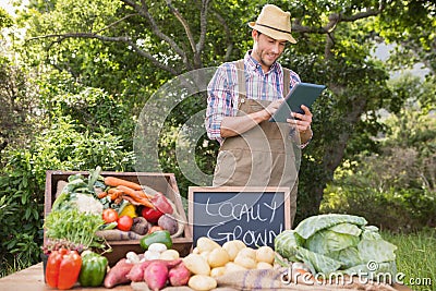 Farmer selling organic veg at market Stock Photo