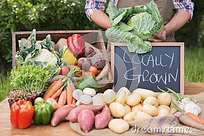 Farmer selling organic veg at market Stock Photo