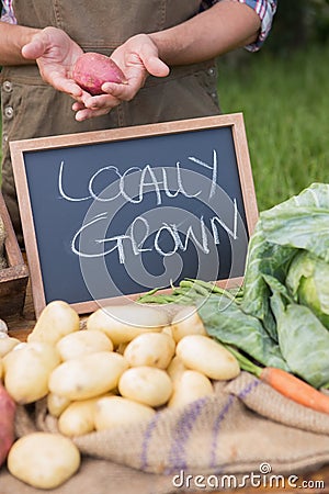 Farmer selling organic veg at market Stock Photo