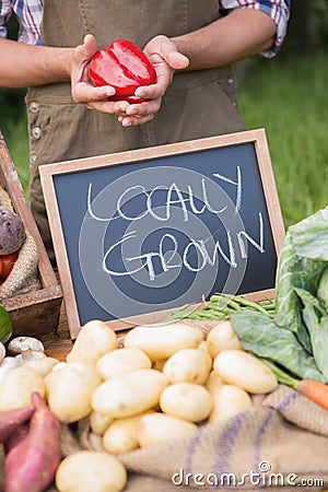 Farmer selling organic veg at market Stock Photo