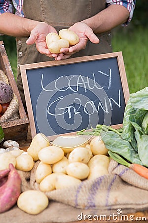 Farmer selling organic veg at market Stock Photo