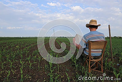 Farmer sits on a chair in a corn field. Stock Photo