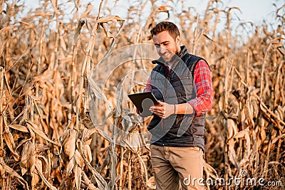 Farmer smiling and enjoying harvesting. young farmer using technology and harvesting corn Stock Photo