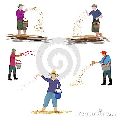 Farmer sowing rice Vector Illustration