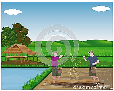 Farmer sowing rice Vector Illustration