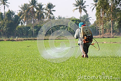 Farmer spraying pesticide Stock Photo