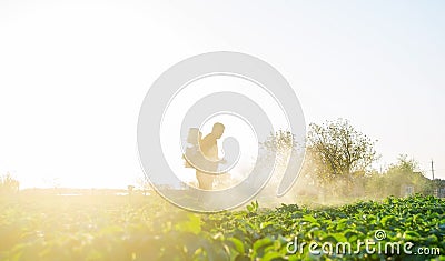 Farmer spraying plants with pesticides in the early morning. Protecting against insect and fungal infections. Agriculture and Stock Photo