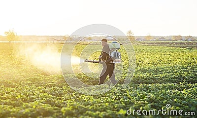 A farmer sprays a solution of copper sulfate on plants of potato bushes. Fight against fungal infections and insects. Stock Photo