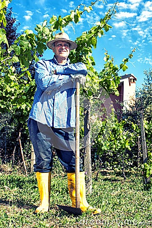Farmer Straw Hat Spade Portrait Break Vineyard Stock Photo