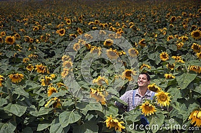 Farmer in sunflower field Stock Photo