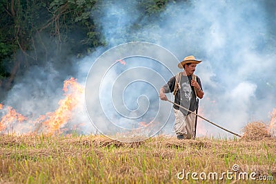 Farmer working in a Colombian field. Editorial Stock Photo